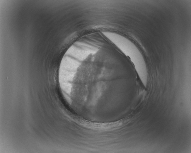 X0000080100023200612301929