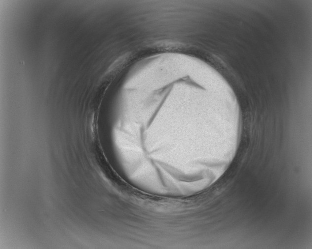 X0000080100024200612301929