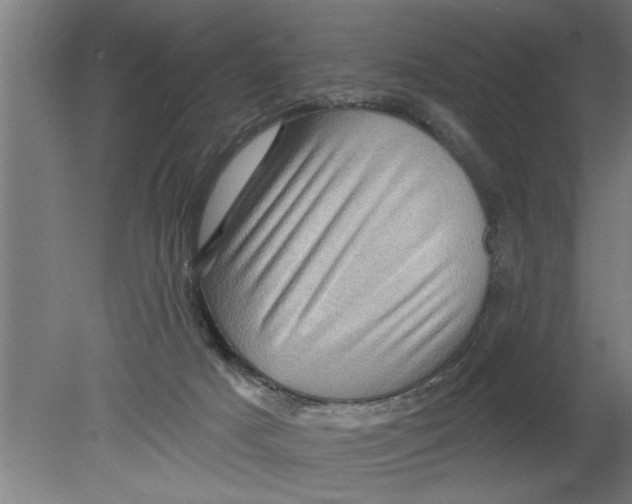 X0000080100025200612301929