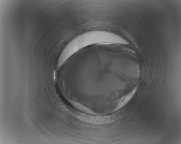 X0000080100027200612301929