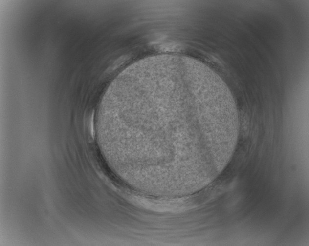 X0000080100028200612301929