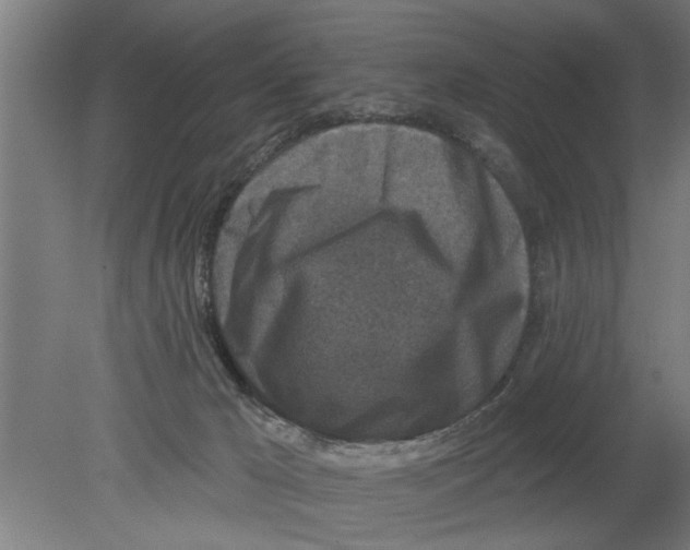 X0000080100029200612301929