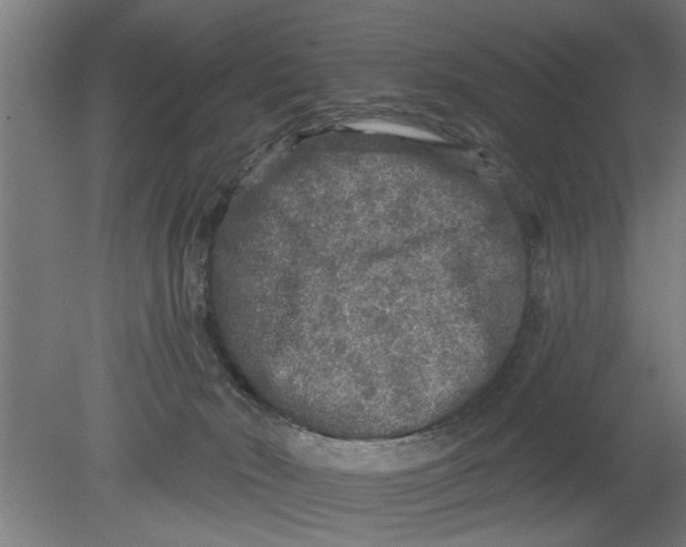 X0000080100030200612301929