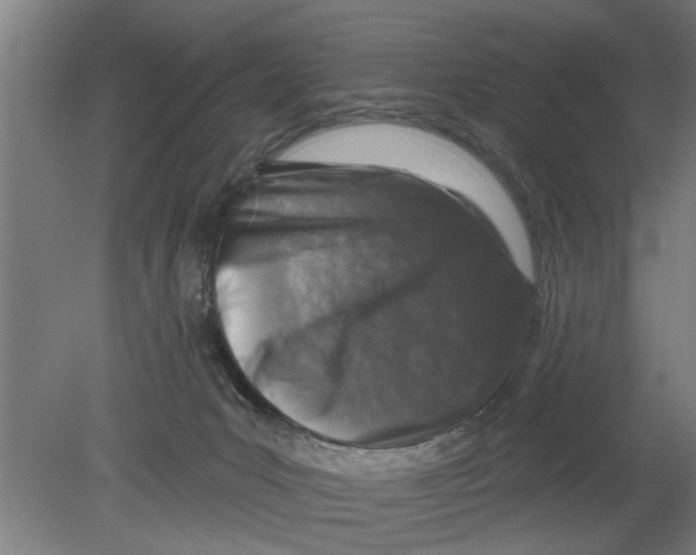 X0000080100031200612301929