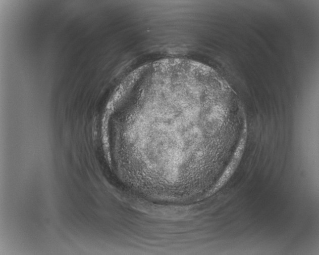 X0000080100032200612301929