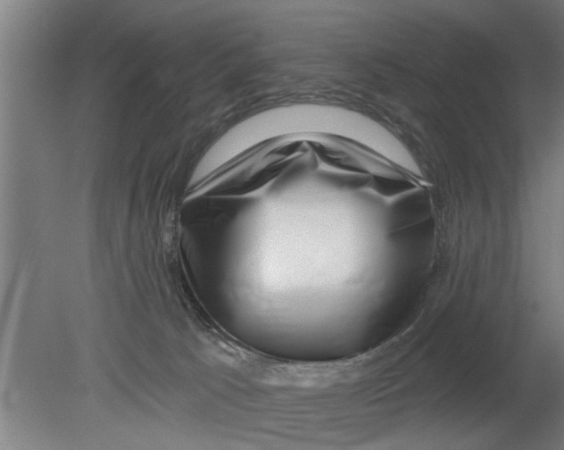 X0000080100033200612301929