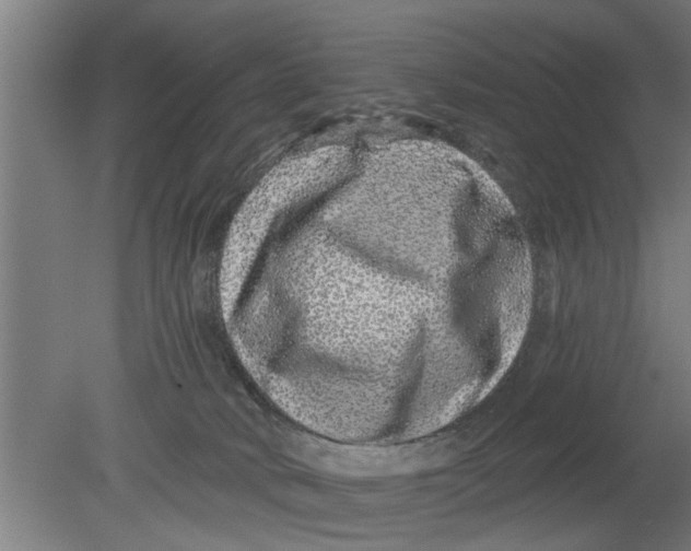 X0000080100034200612301929