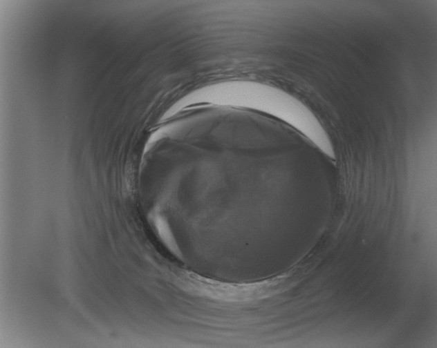 X0000080100035200612301929