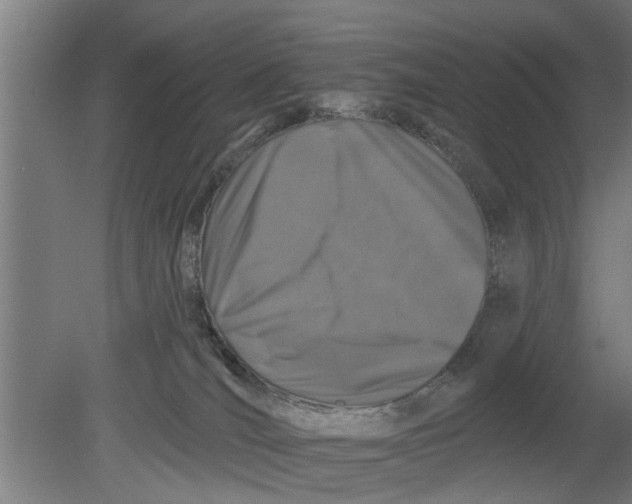 X0000080100036200612301929