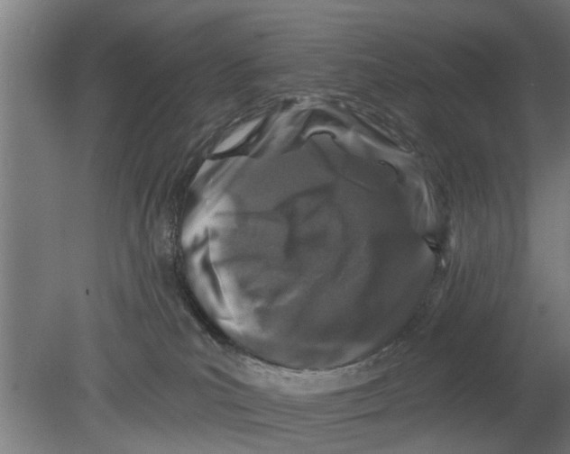 X0000080100039200612301929