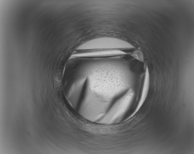 X0000080100040200612301929