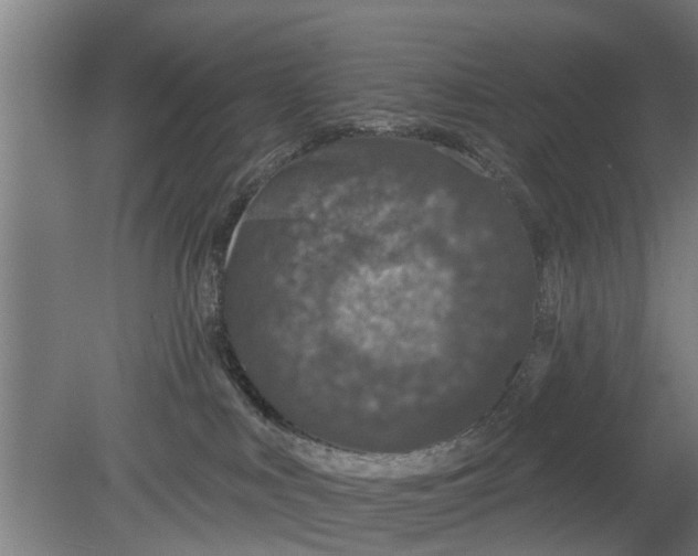 X0000080100043200612301929