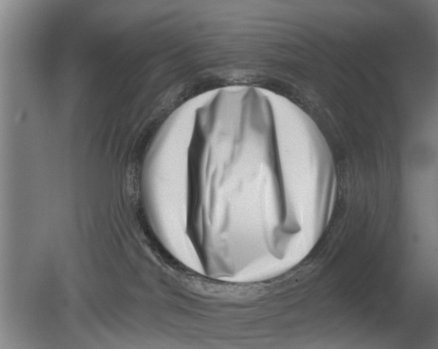 X0000080100044200612301929