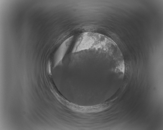 X0000080100046200612301929