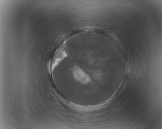 X0000080100047200612301929