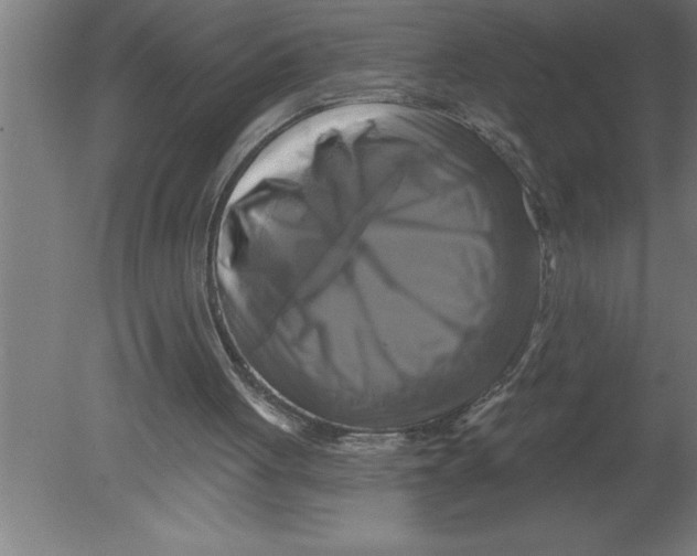 X0000080100051200612301928