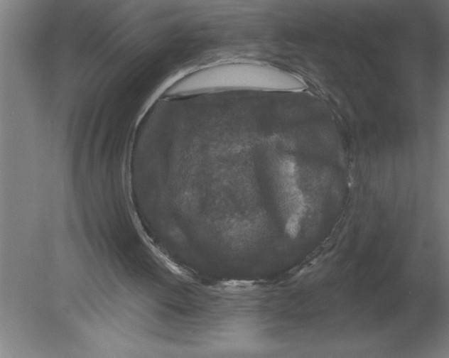 X0000080100052200612301928