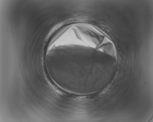 X0000080100054200612301928