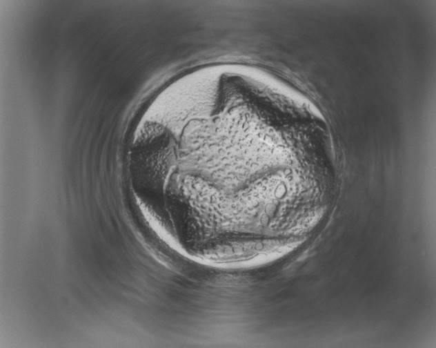 X0000080100055200612301928