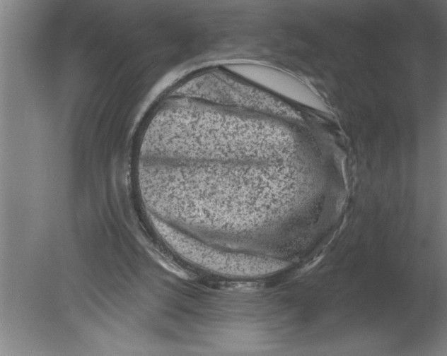 X0000080100056200612301928