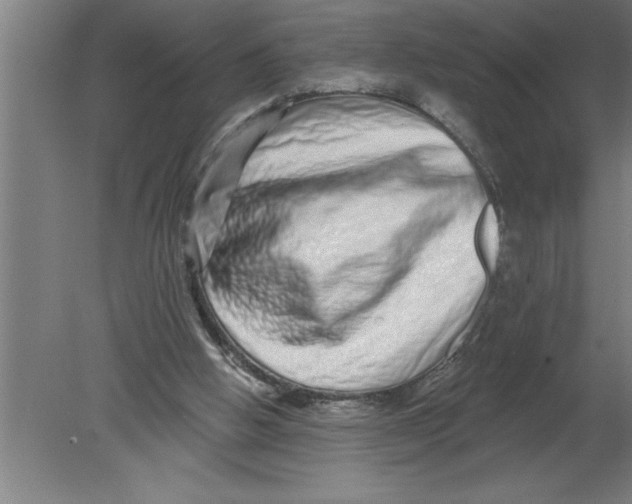 X0000080100058200612301928