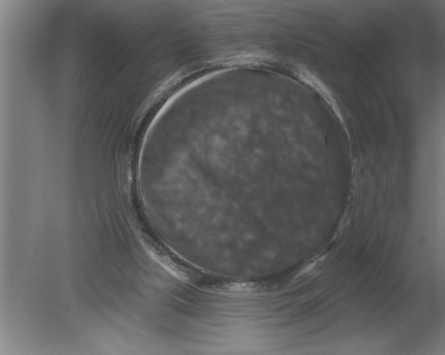 X0000080100059200612301928