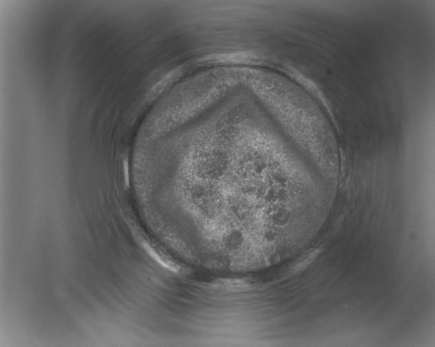 X0000080100061200612301928