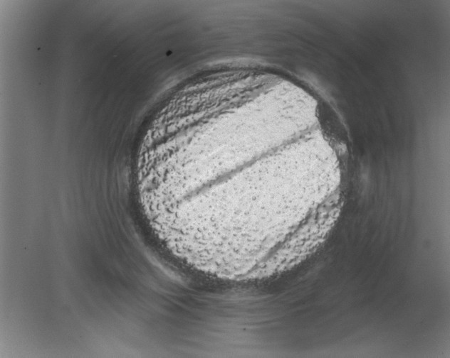 X0000080100063200612301928