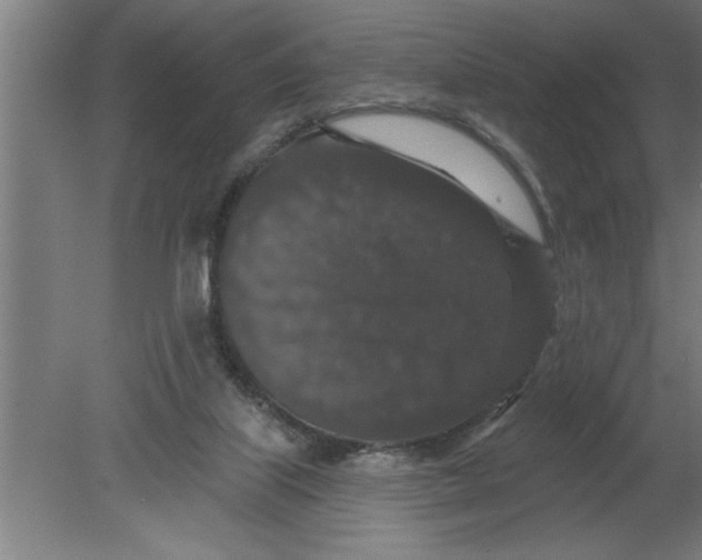 X0000080100067200612301928