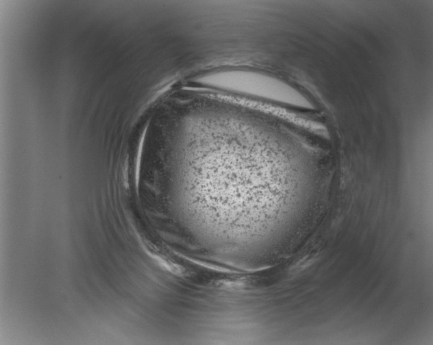 X0000080100068200612301928