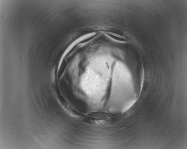 X0000080100070200612301929