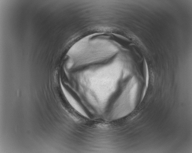 X0000080100071200612301929