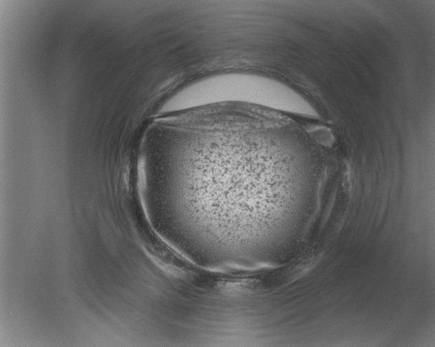 X0000080100072200612301929