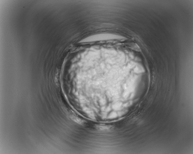 X0000080100073200612301929