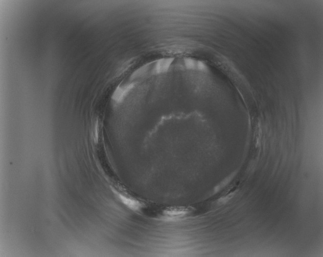 X0000080100076200612301929