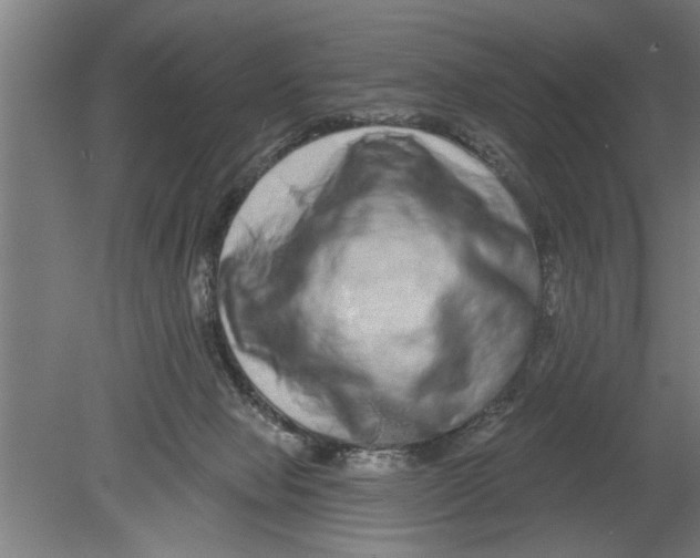 X0000080100077200612301929