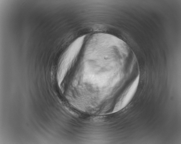 X0000080100078200612301929