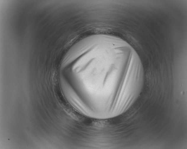 X0000080100079200612301929