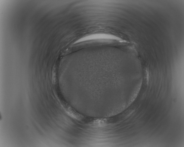 X0000080100080200612301929