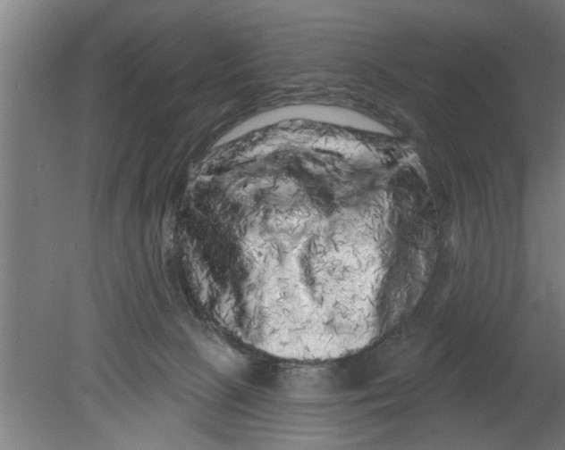 X0000080100081200612301929