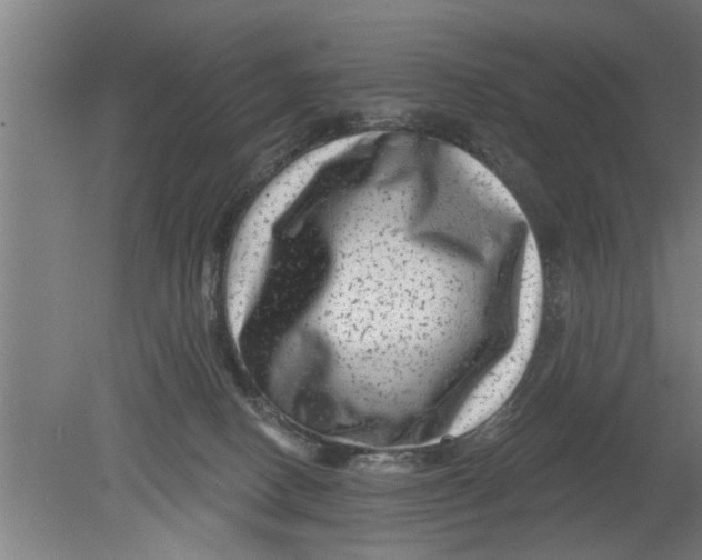 X0000080100082200612301929