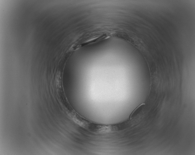 X0000080100083200612301929