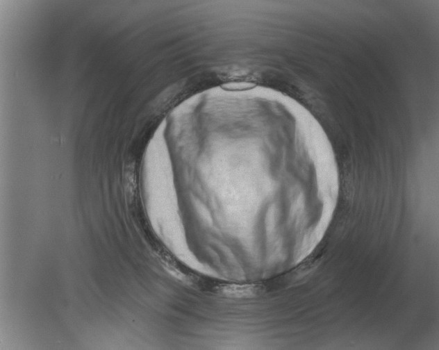 X0000080100085200612301929