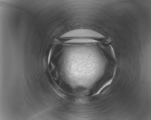 X0000080100086200612301929