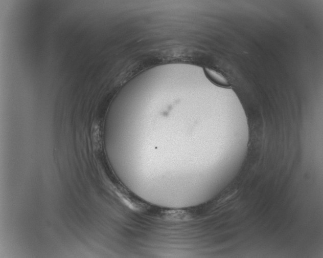 X0000080100087200612301929