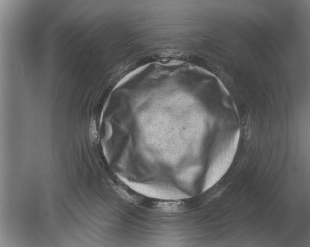 X0000080100089200612301929