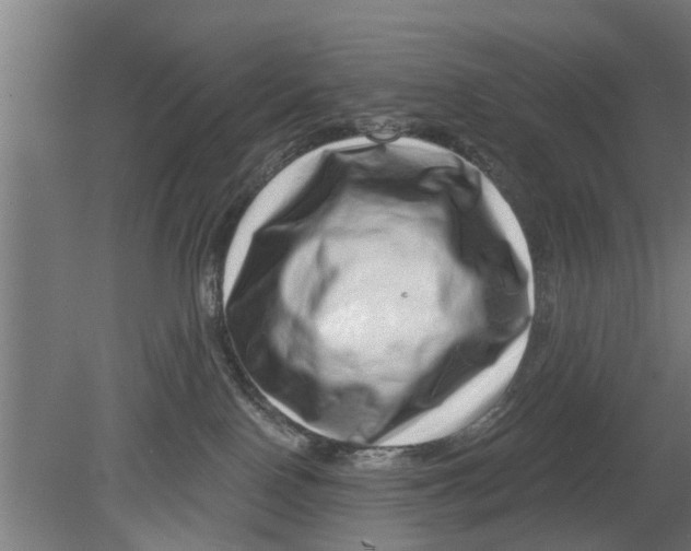 X0000080100090200612301929