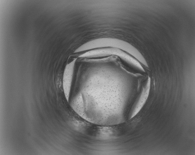 X0000080100091200612301929