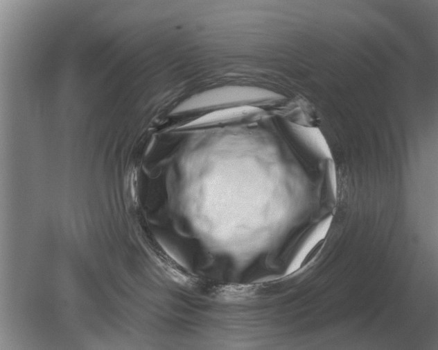 X0000080100094200612301929