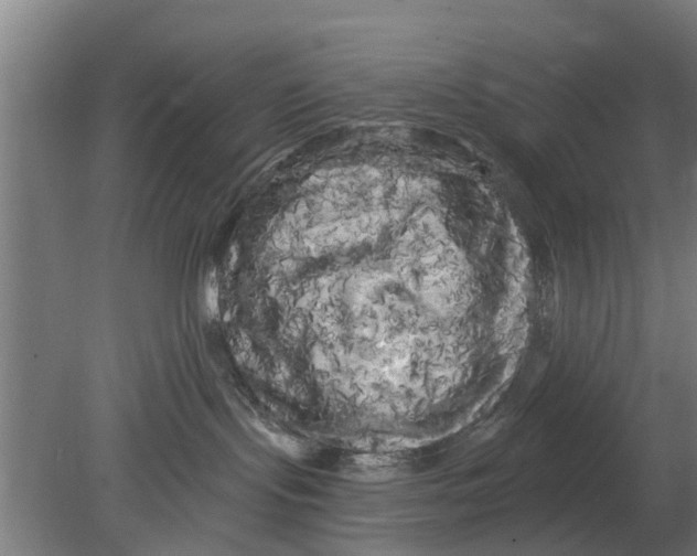 X0000080100095200612301929